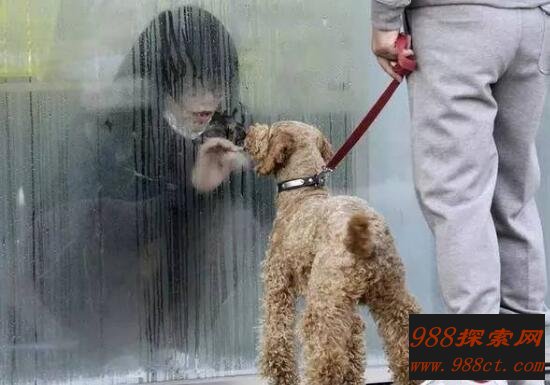 福岛核泄漏后变异女人