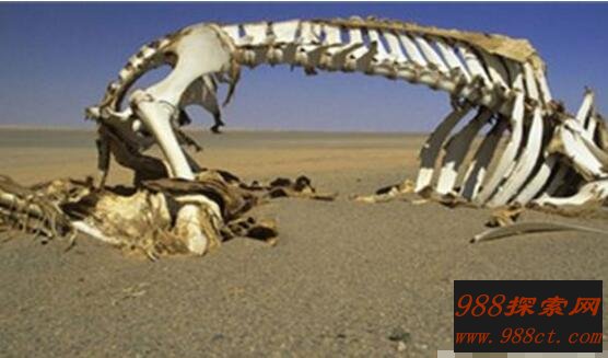 昆仑山地狱之门