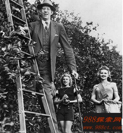 罗伯特·潘兴·瓦德罗