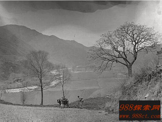 87年村庄消失事件真相