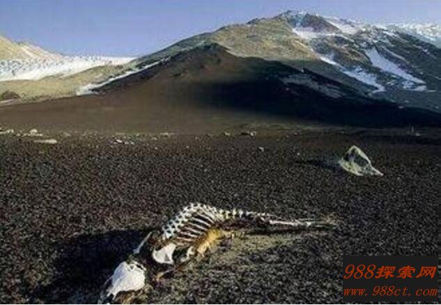 昆仑山深处有人去过吗